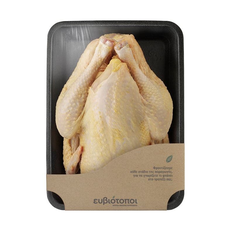 Chicken | 