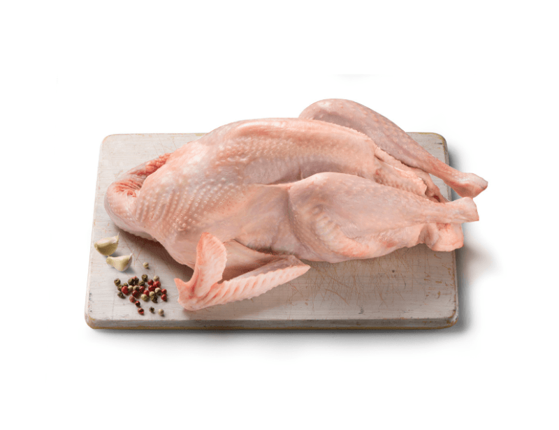 Γαλοπούλα | Γαλοπούλα